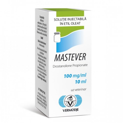 Mastever