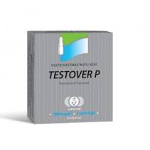 Testover P amp.